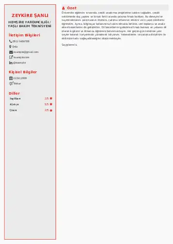Hasta ve Yaşlı Bakım Elemanı Cv Örnekleri cv indir